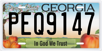 GA license plate PEQ9147