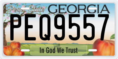 GA license plate PEQ9557
