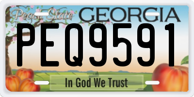GA license plate PEQ9591