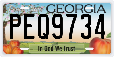 GA license plate PEQ9734