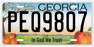 GA license plate PEQ9807