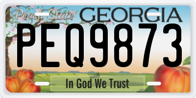 GA license plate PEQ9873