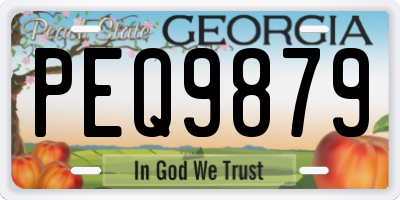 GA license plate PEQ9879