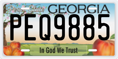 GA license plate PEQ9885