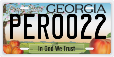 GA license plate PER0022