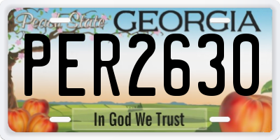 GA license plate PER2630