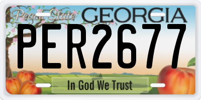 GA license plate PER2677