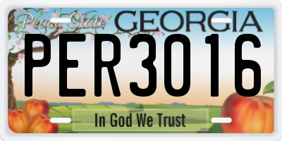 GA license plate PER3016