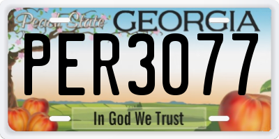 GA license plate PER3077
