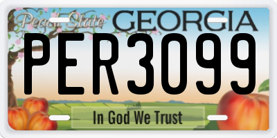 GA license plate PER3099