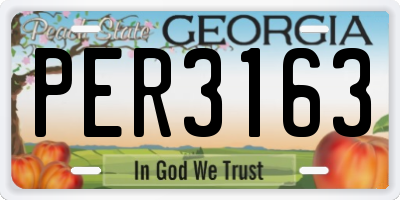 GA license plate PER3163