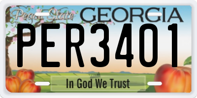 GA license plate PER3401
