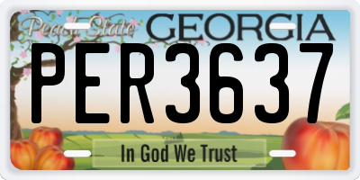 GA license plate PER3637