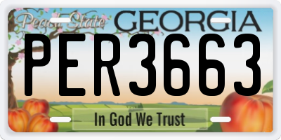 GA license plate PER3663