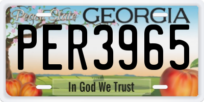 GA license plate PER3965