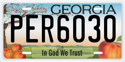 GA license plate PER6030