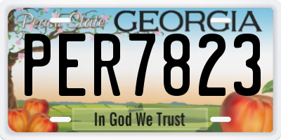 GA license plate PER7823