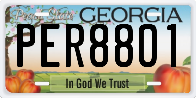 GA license plate PER8801