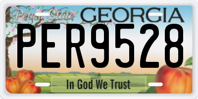GA license plate PER9528