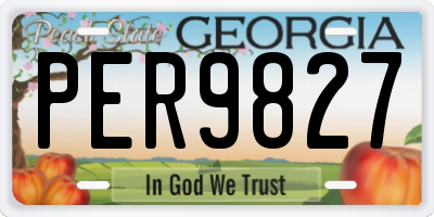 GA license plate PER9827