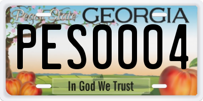 GA license plate PES0004