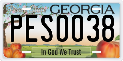 GA license plate PES0038