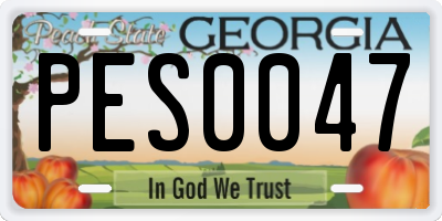 GA license plate PES0047