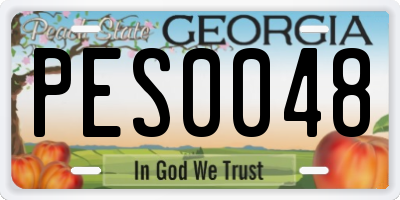 GA license plate PES0048