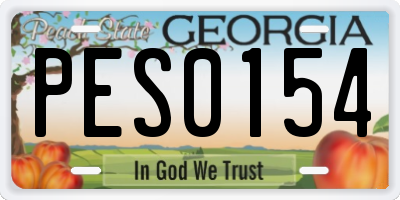 GA license plate PES0154