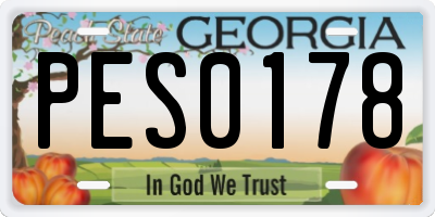 GA license plate PES0178
