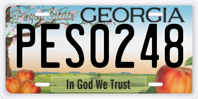 GA license plate PES0248