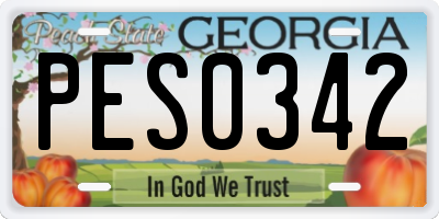 GA license plate PES0342