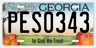 GA license plate PES0343