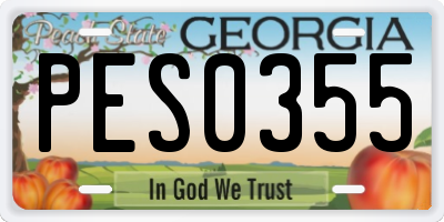 GA license plate PES0355