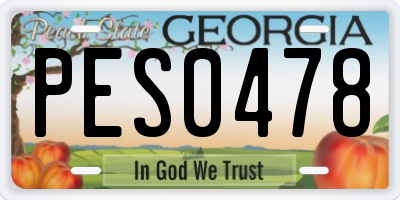 GA license plate PES0478