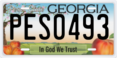 GA license plate PES0493