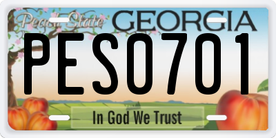 GA license plate PES0701