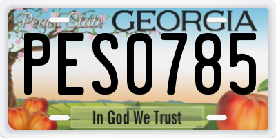 GA license plate PES0785