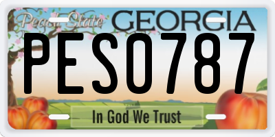 GA license plate PES0787