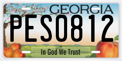 GA license plate PES0812