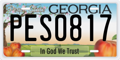 GA license plate PES0817