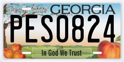 GA license plate PES0824