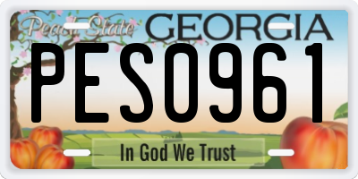 GA license plate PES0961