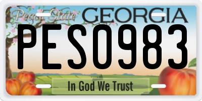 GA license plate PES0983