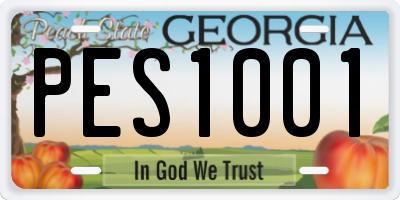 GA license plate PES1001