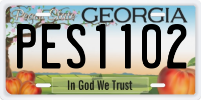 GA license plate PES1102