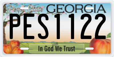GA license plate PES1122