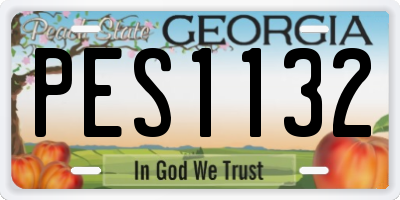 GA license plate PES1132