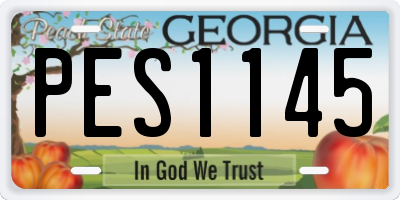 GA license plate PES1145