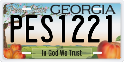 GA license plate PES1221